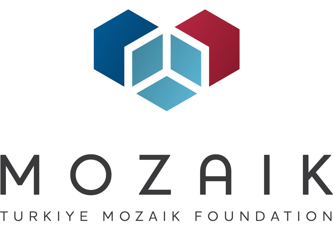 Turkiye Mozaik Foundation 